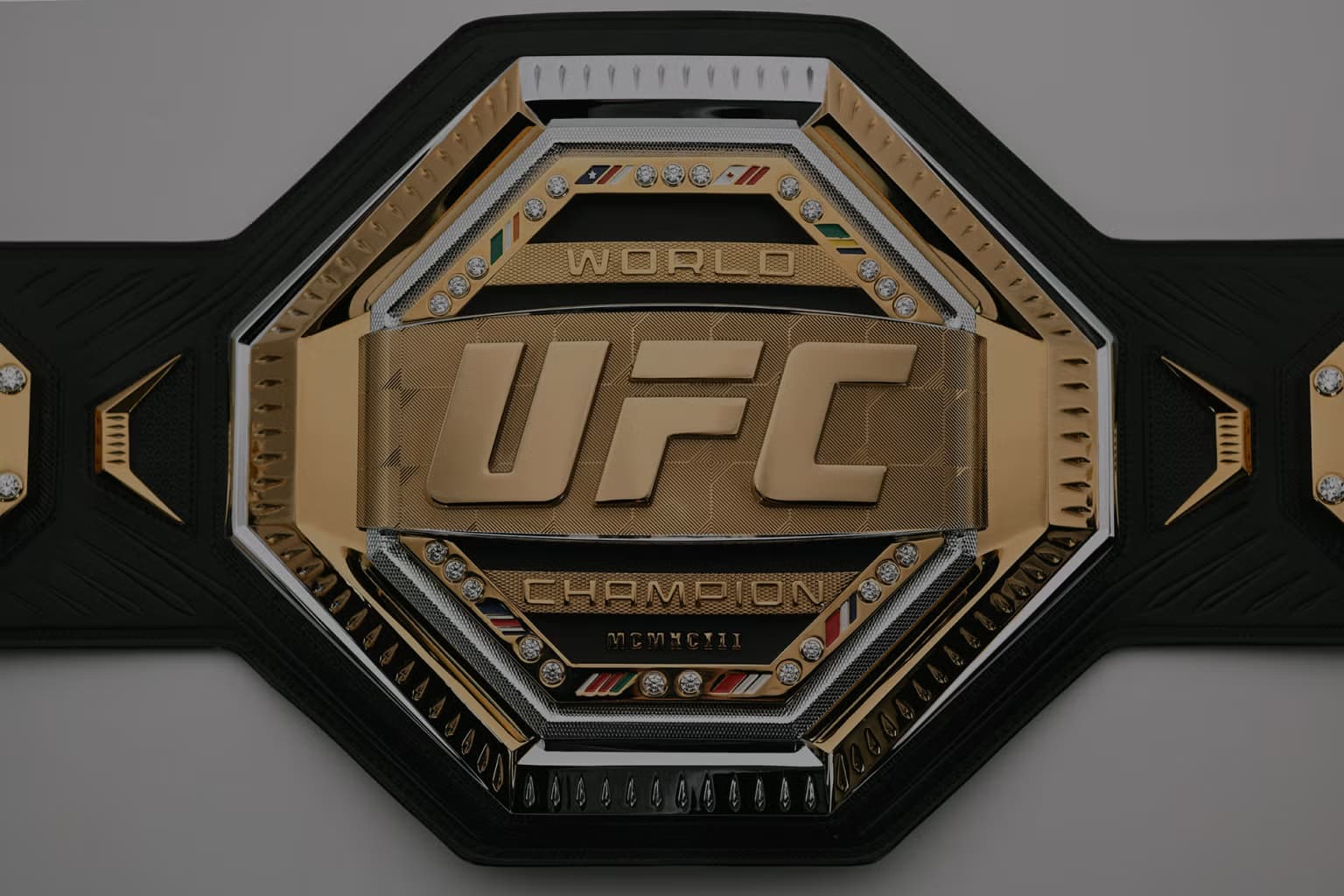 UFC Match